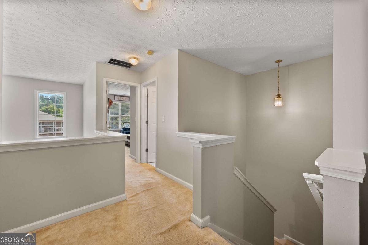 119 Oak Green Drive Lawrenceville - 17