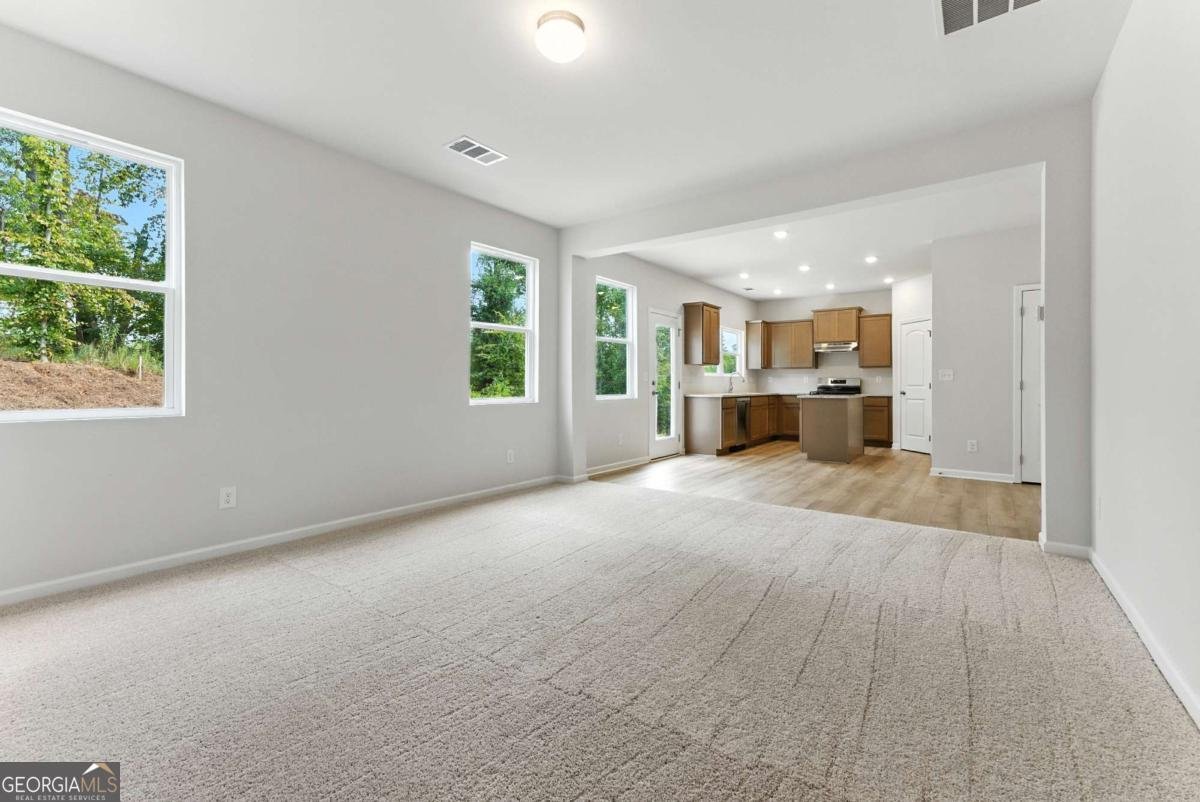 133 Bloomfield Circle Canton - 10