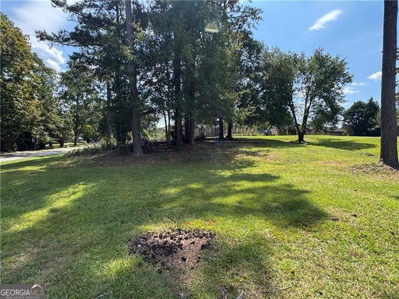 1709 Elizabeth Court Conyers - 3