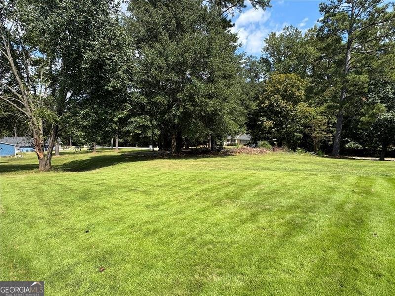 1709 Elizabeth Court Conyers - 30