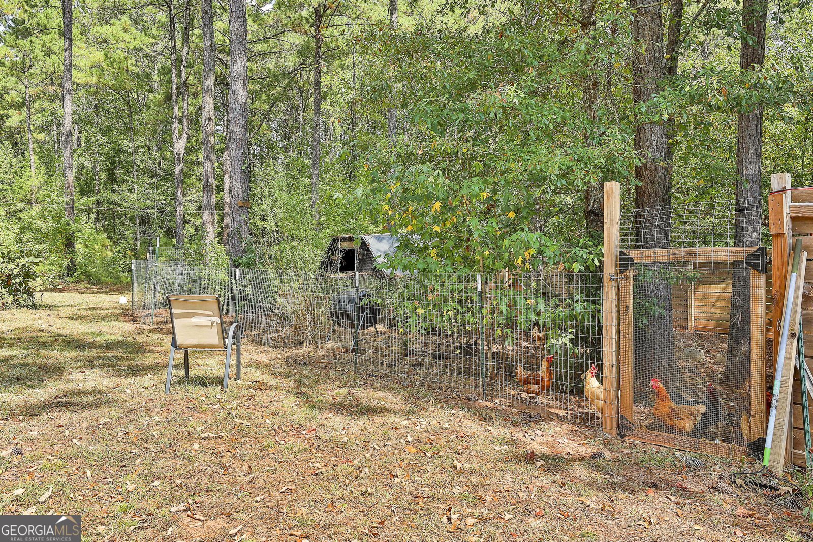 40 Couch Court Senoia - 1