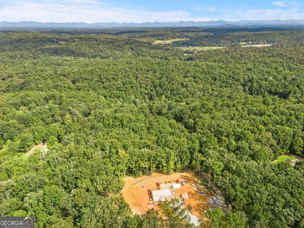 385 River Bend Road Dawsonville - 20