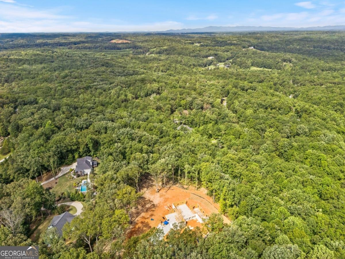 385 River Bend Road Dawsonville - 22
