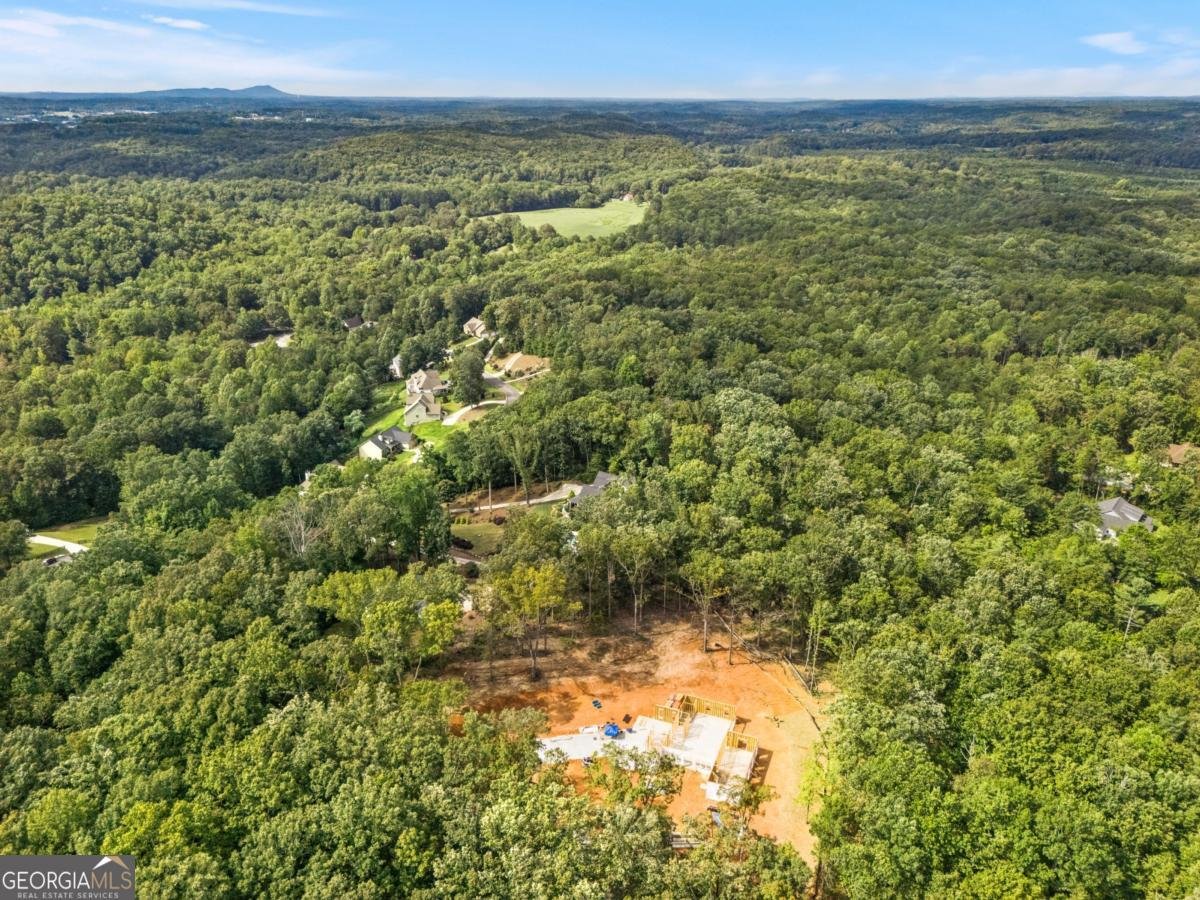 385 River Bend Road Dawsonville - 23