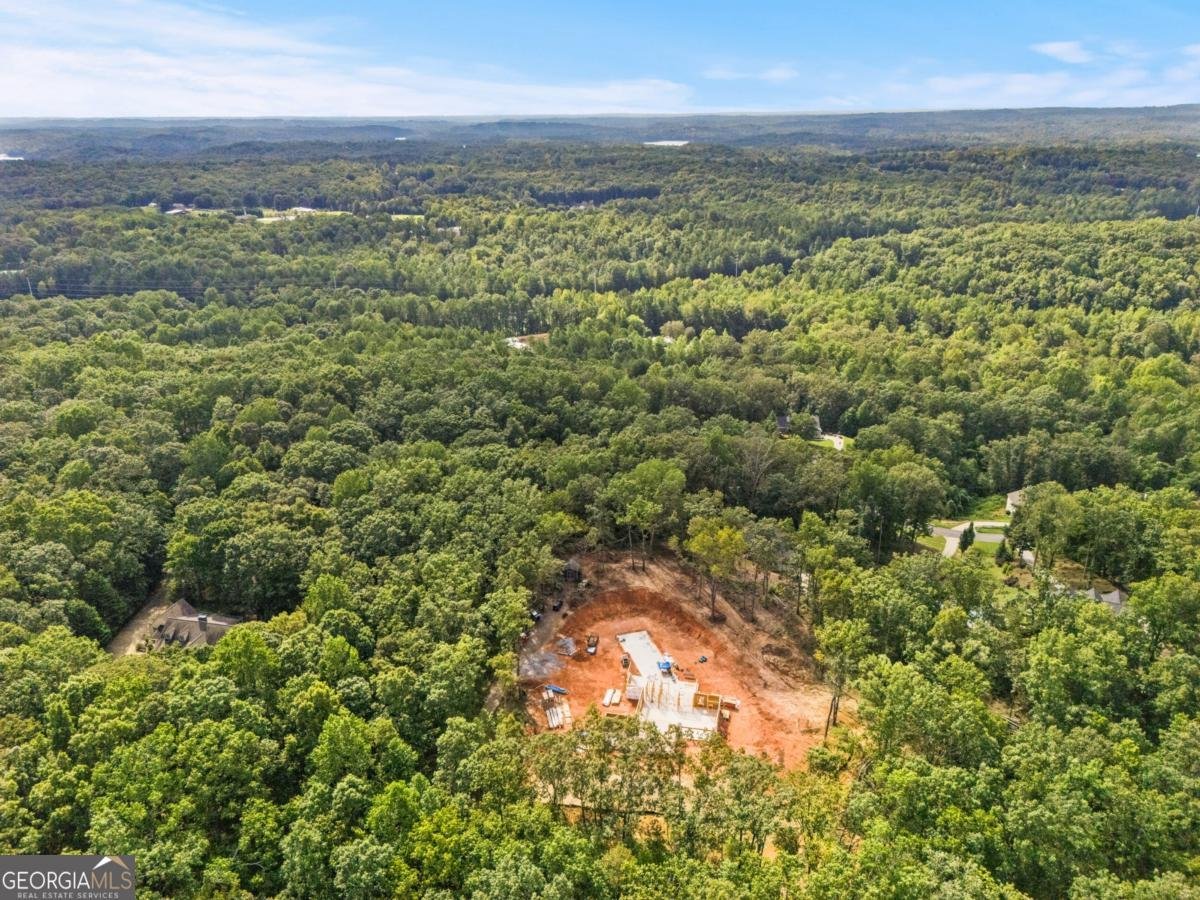 385 River Bend Road Dawsonville - 25