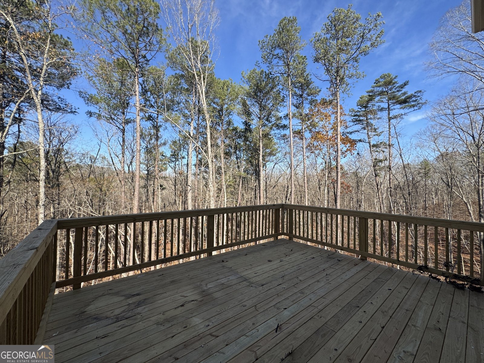 5326 Vinci Place Douglasville - 10