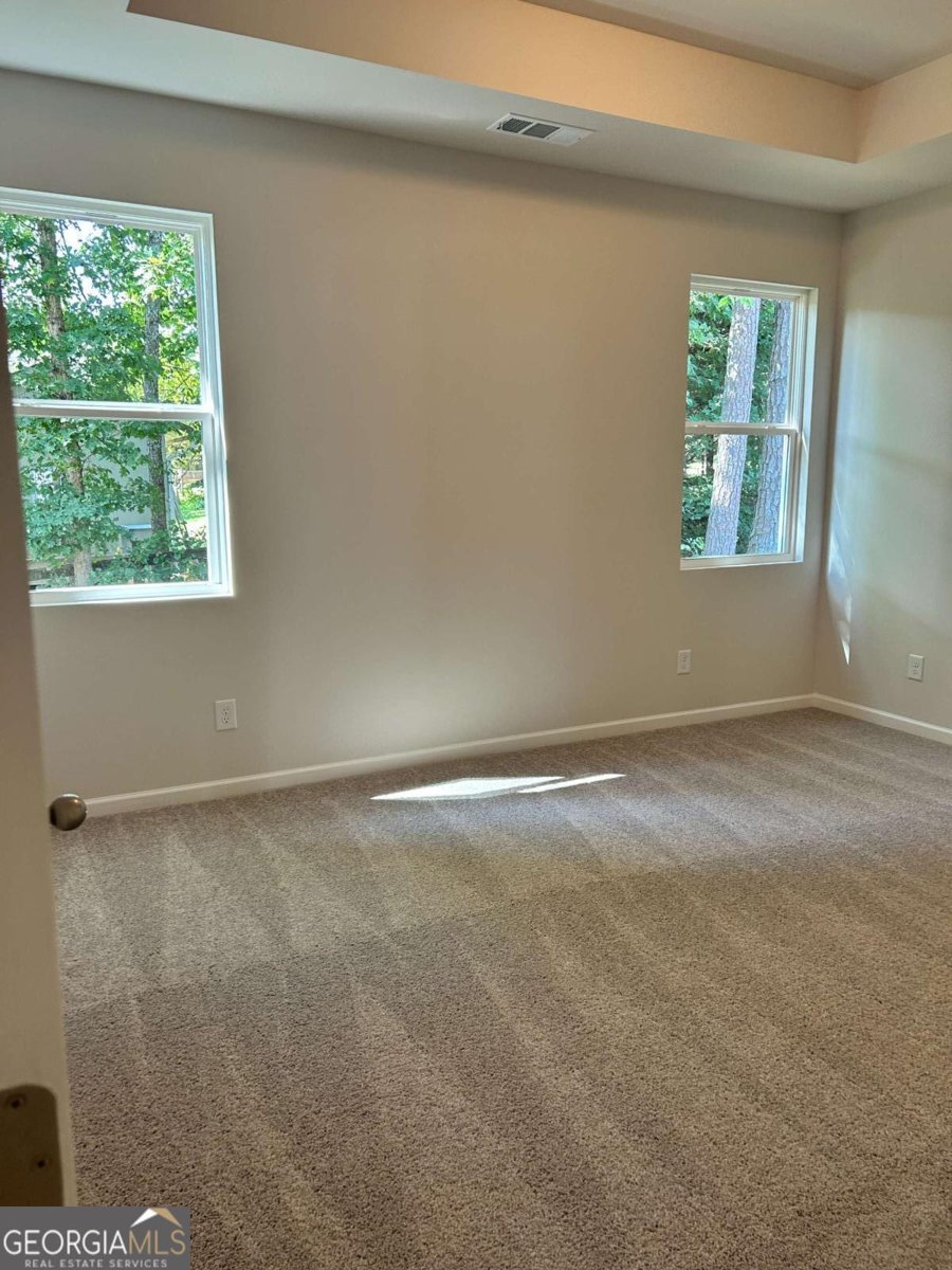 217 Hydrangea Court Dallas - 10