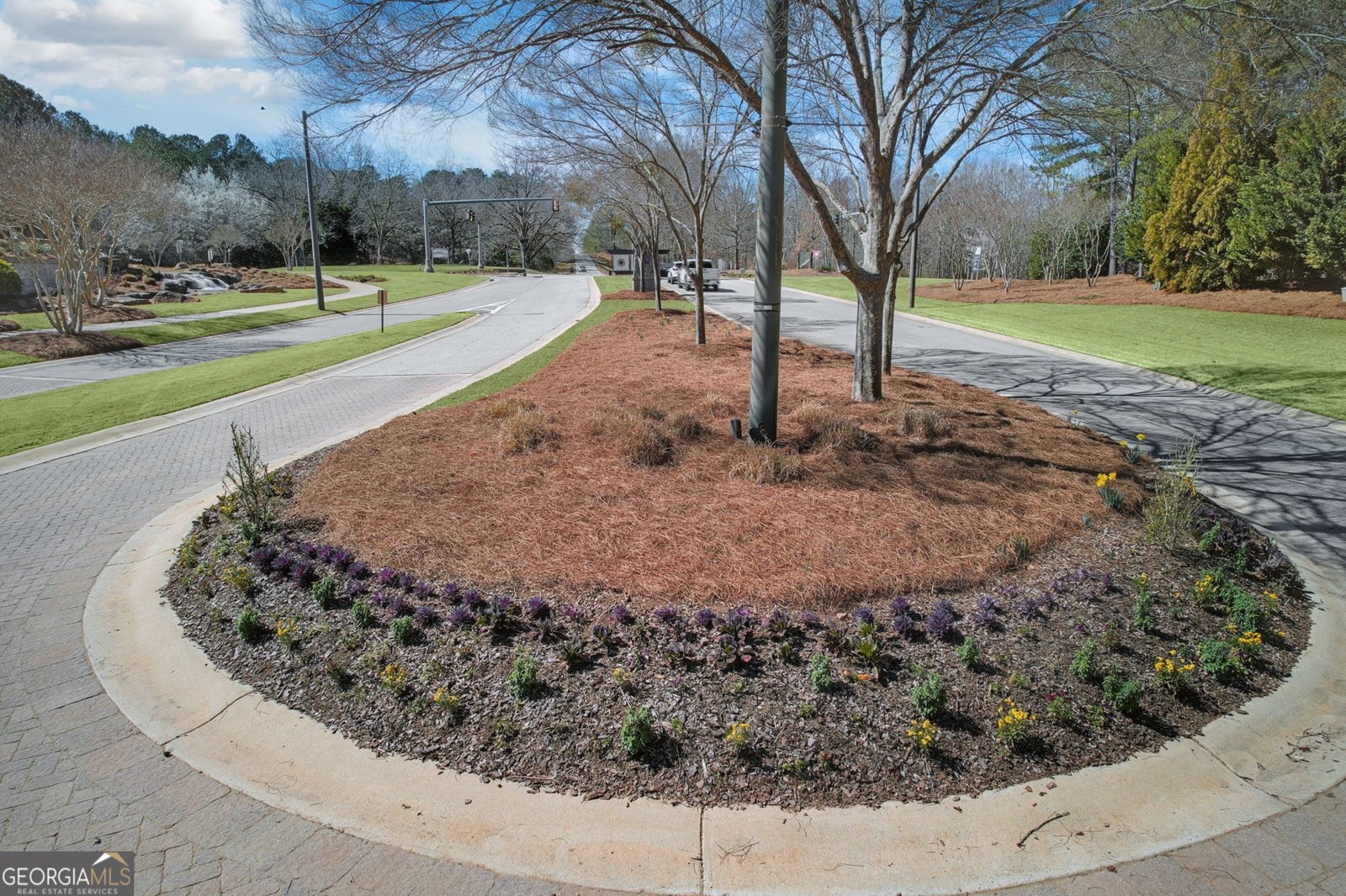 105 Salvia Court Griffin - 13