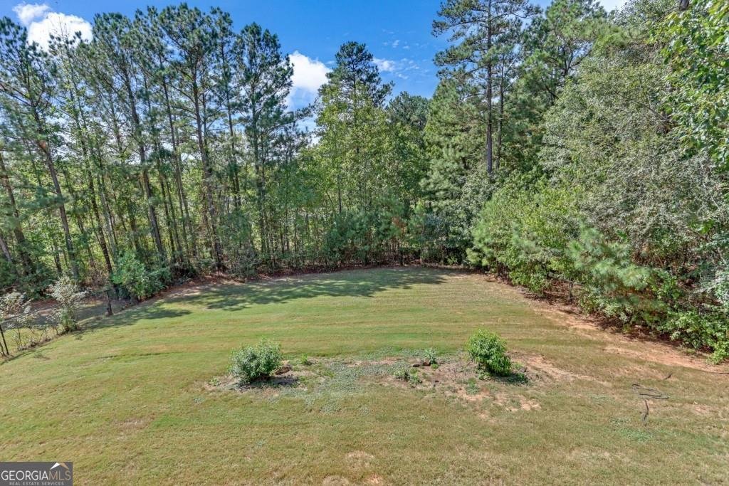 522 Thomas Drive Loganville - 29