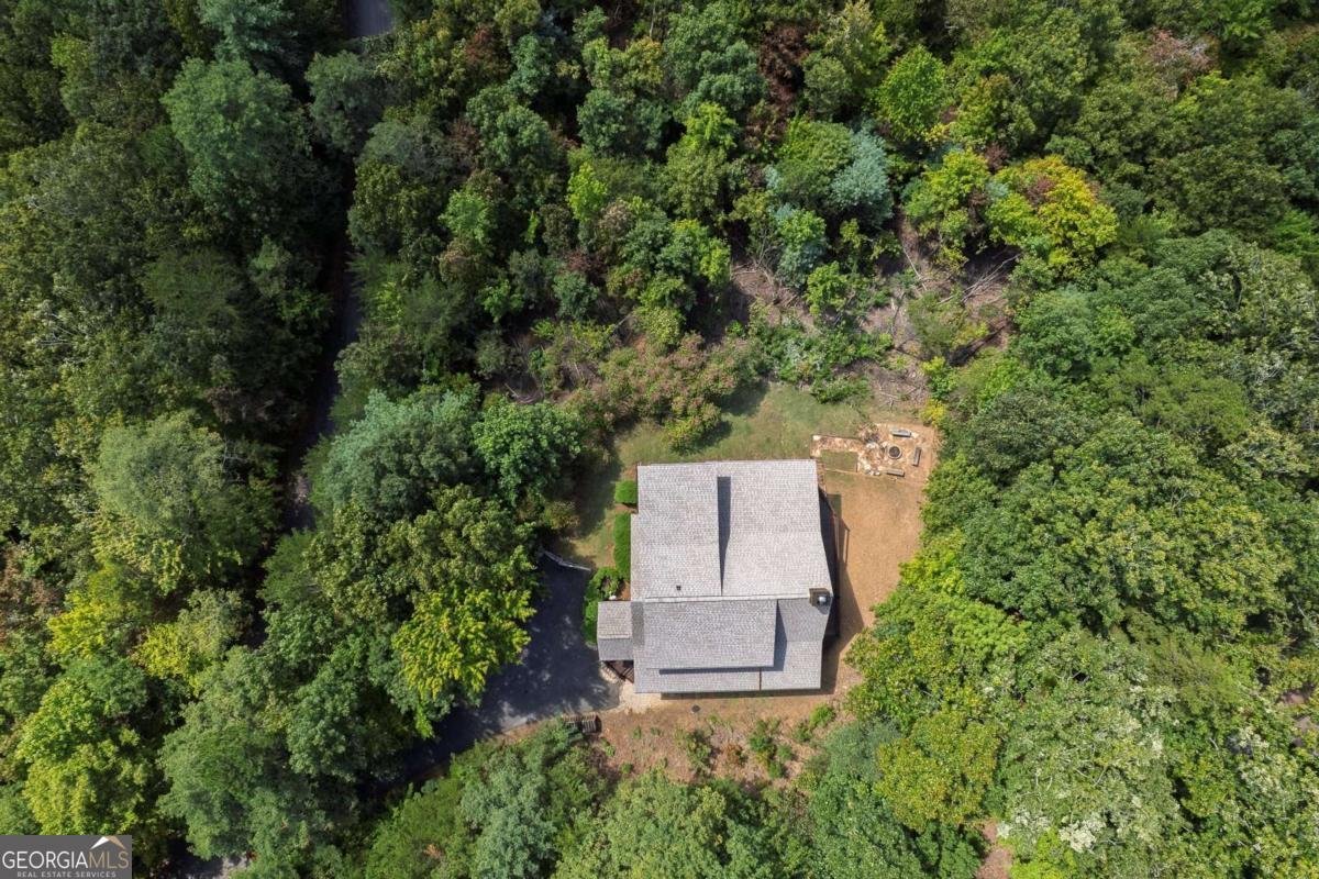 499 Raven Ridge Circle Mineral Bluff - 36