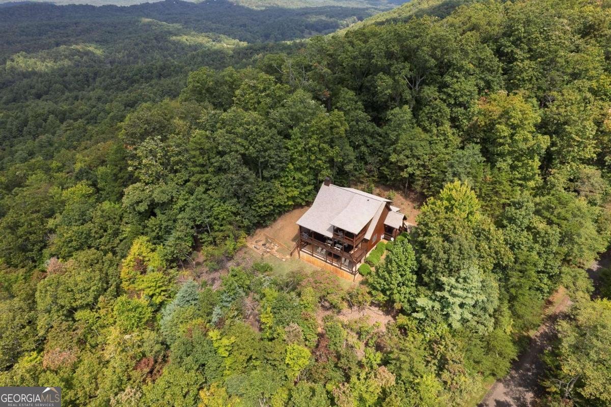 499 Raven Ridge Circle Mineral Bluff - 37