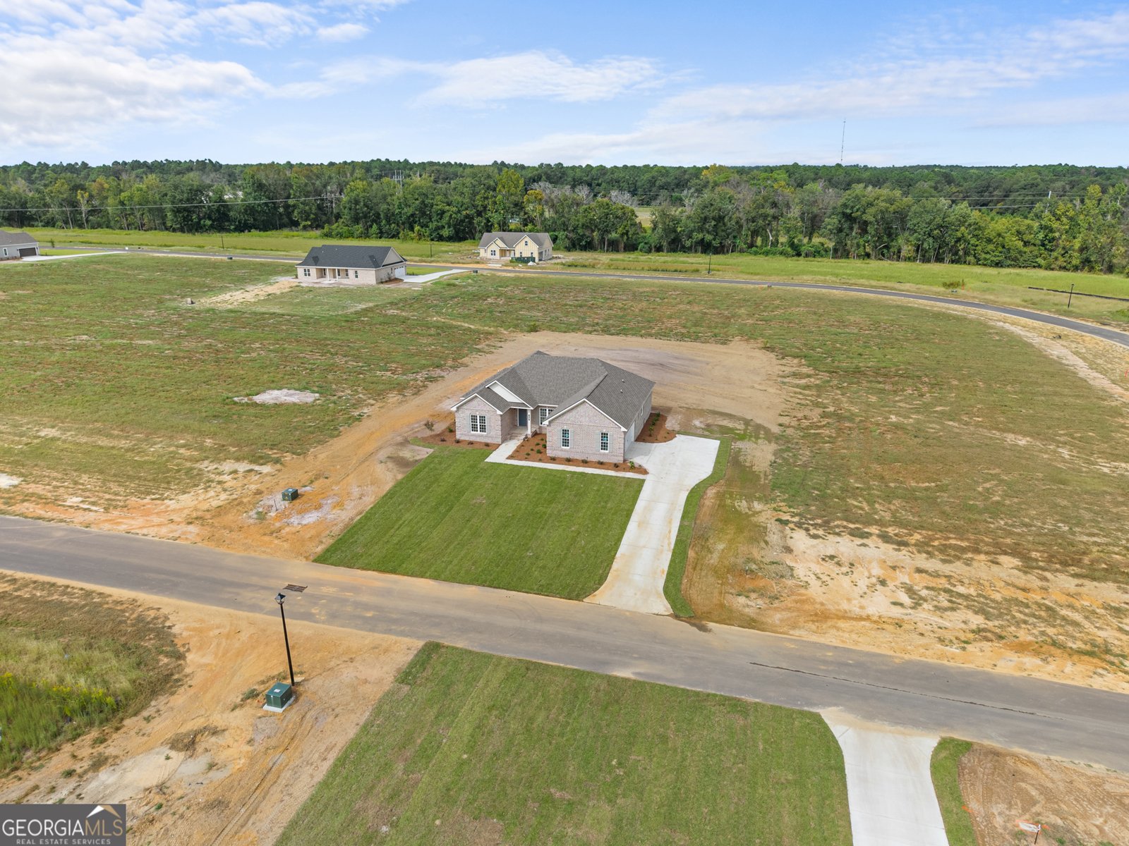 219 Bald Cypress Court Statesboro - 30