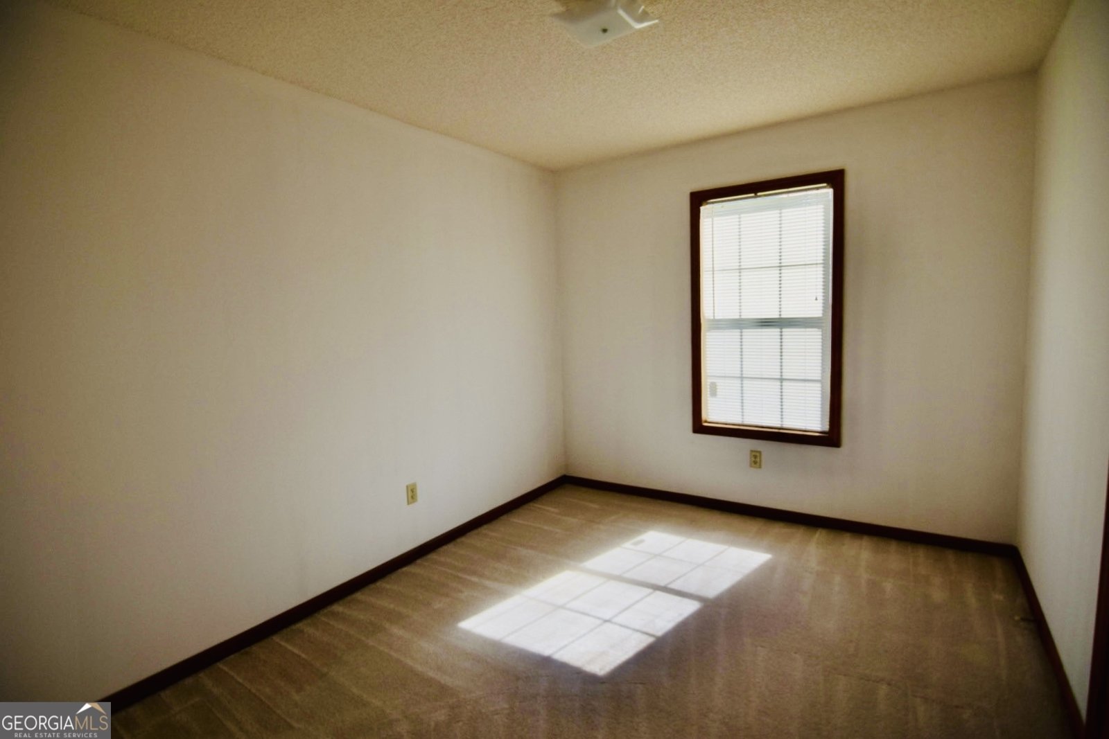 4301 Shiloh Trace Valdosta - 10