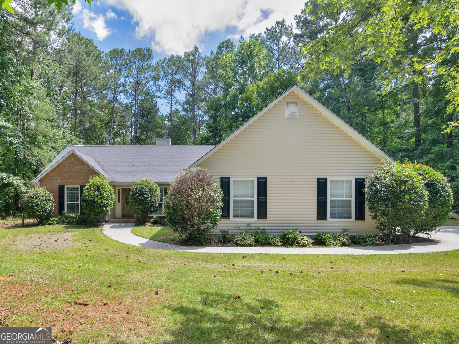 58 The Farm Road McDonough - 3