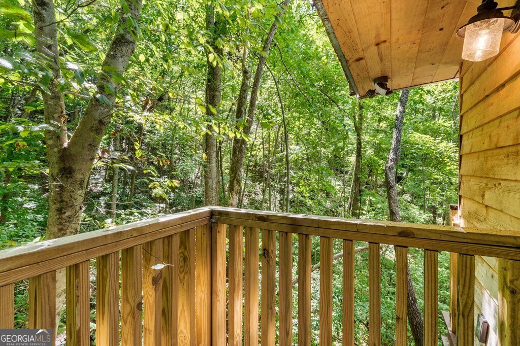 605 White Street Hiawassee - 1