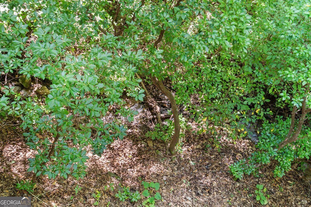 605 White Street Hiawassee - 13