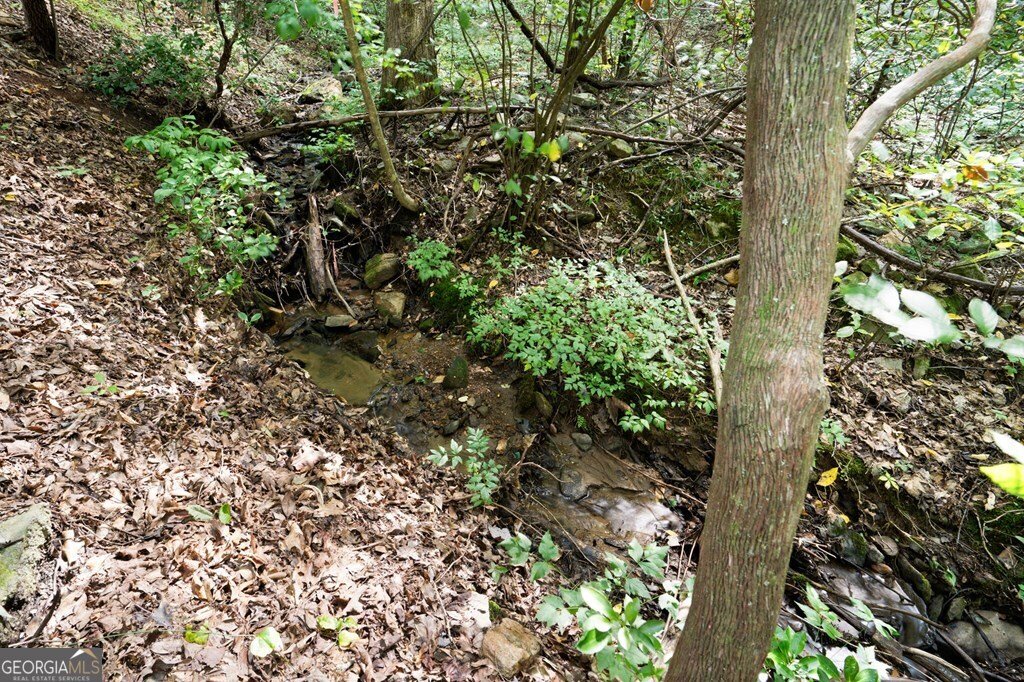 605 White Street Hiawassee - 17