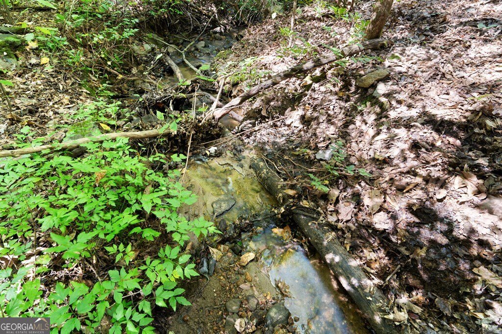 605 White Street Hiawassee - 18