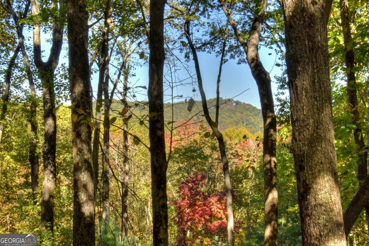 9 Joanna Court Cherry Log - 34