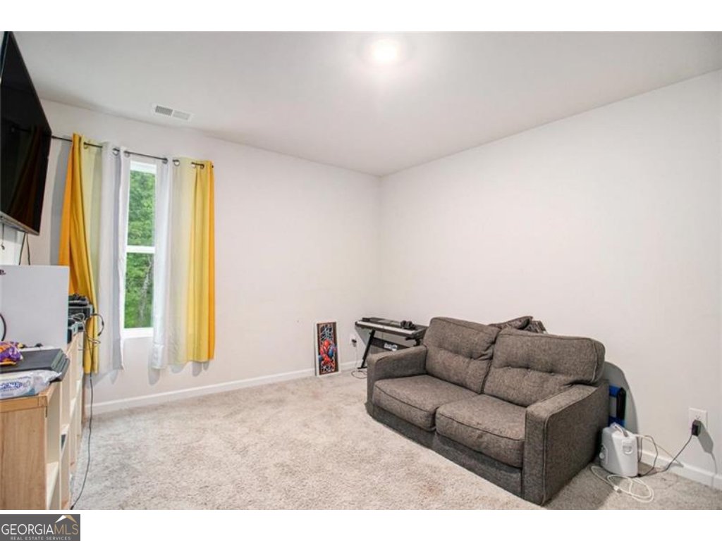328 Orchid Drive Mcdonough - 22