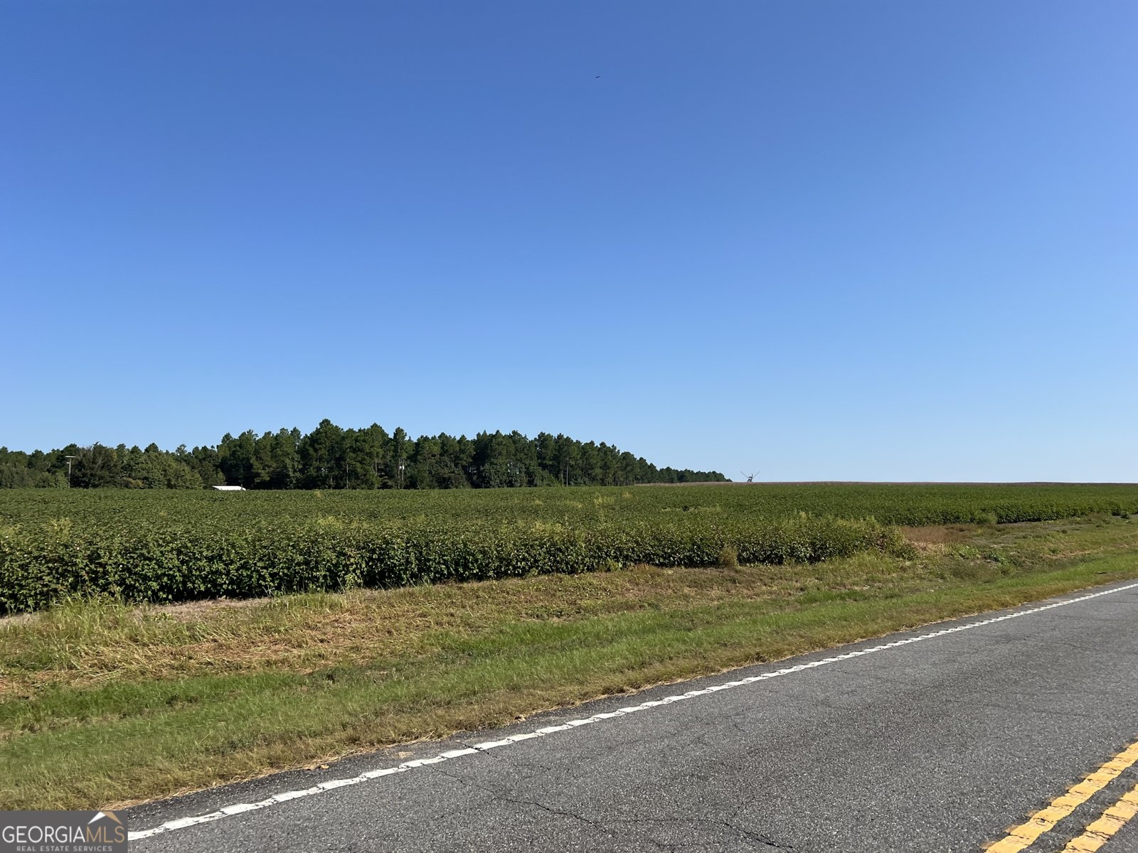 762 Nicholson Carr Road Chester - 60