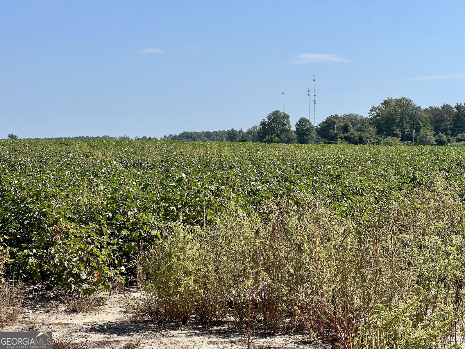 762 Nicholson Carr Road Chester - 61