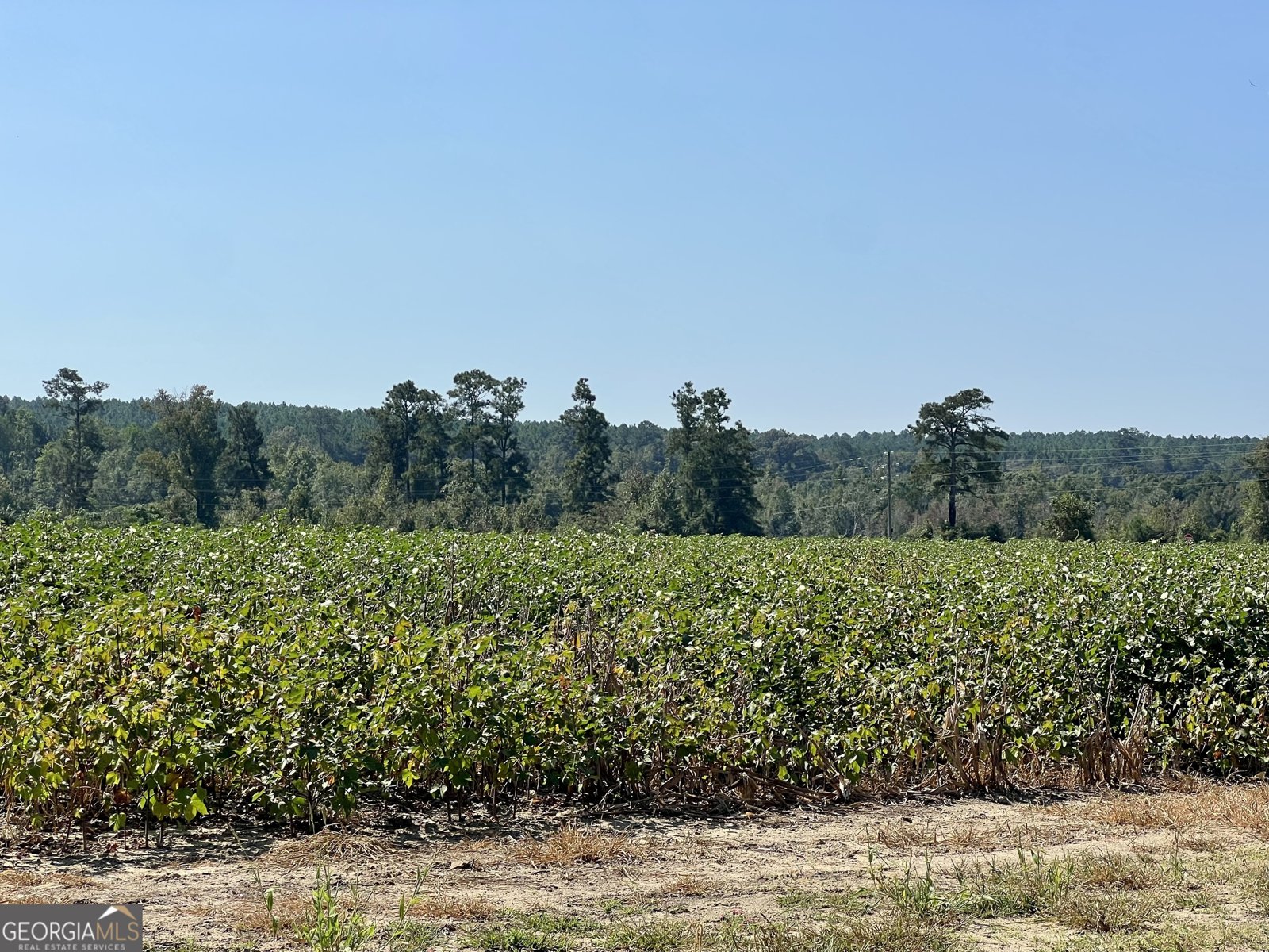 762 Nicholson Carr Road Chester - 62