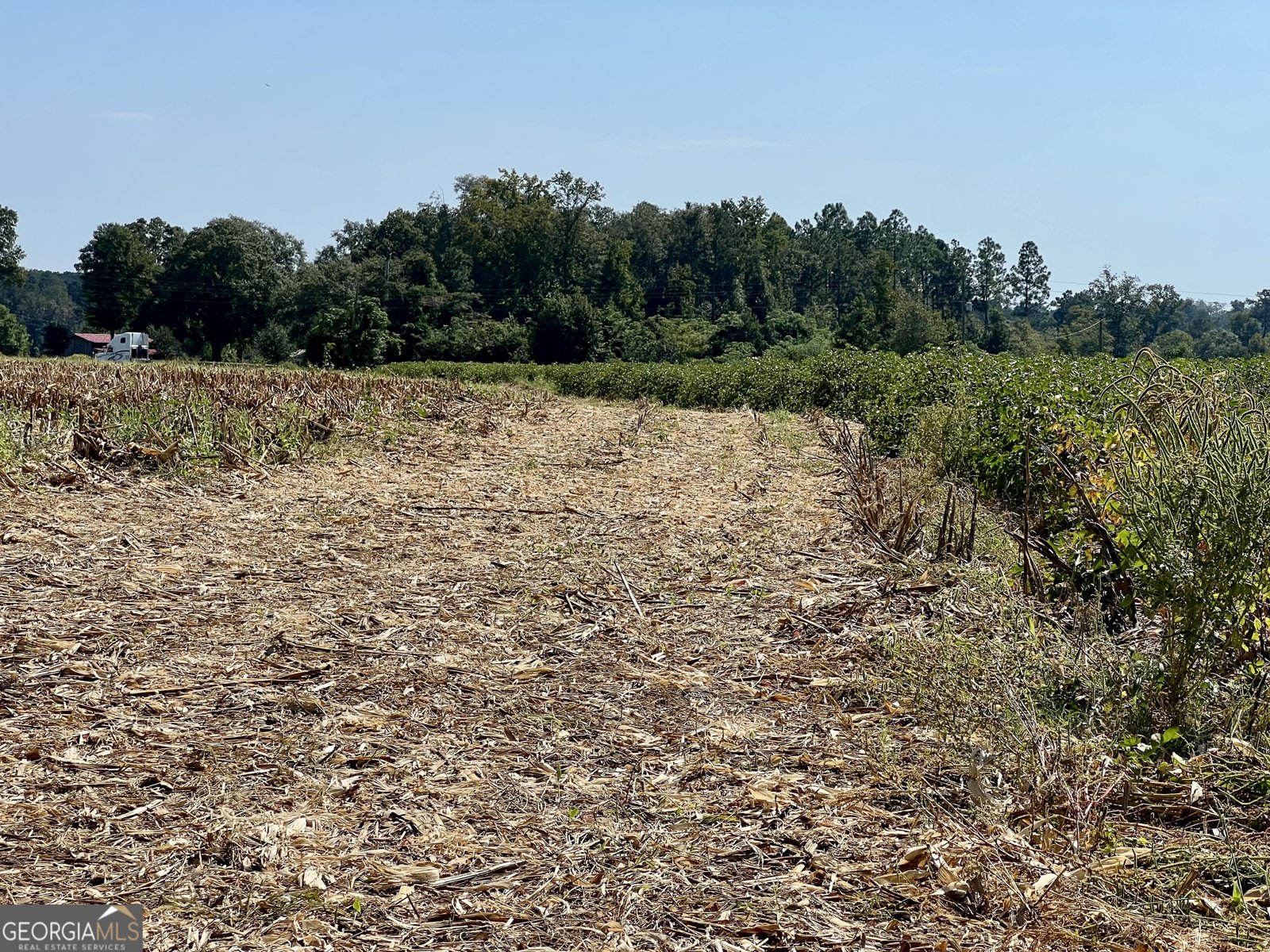 762 Nicholson Carr Road Chester - 66