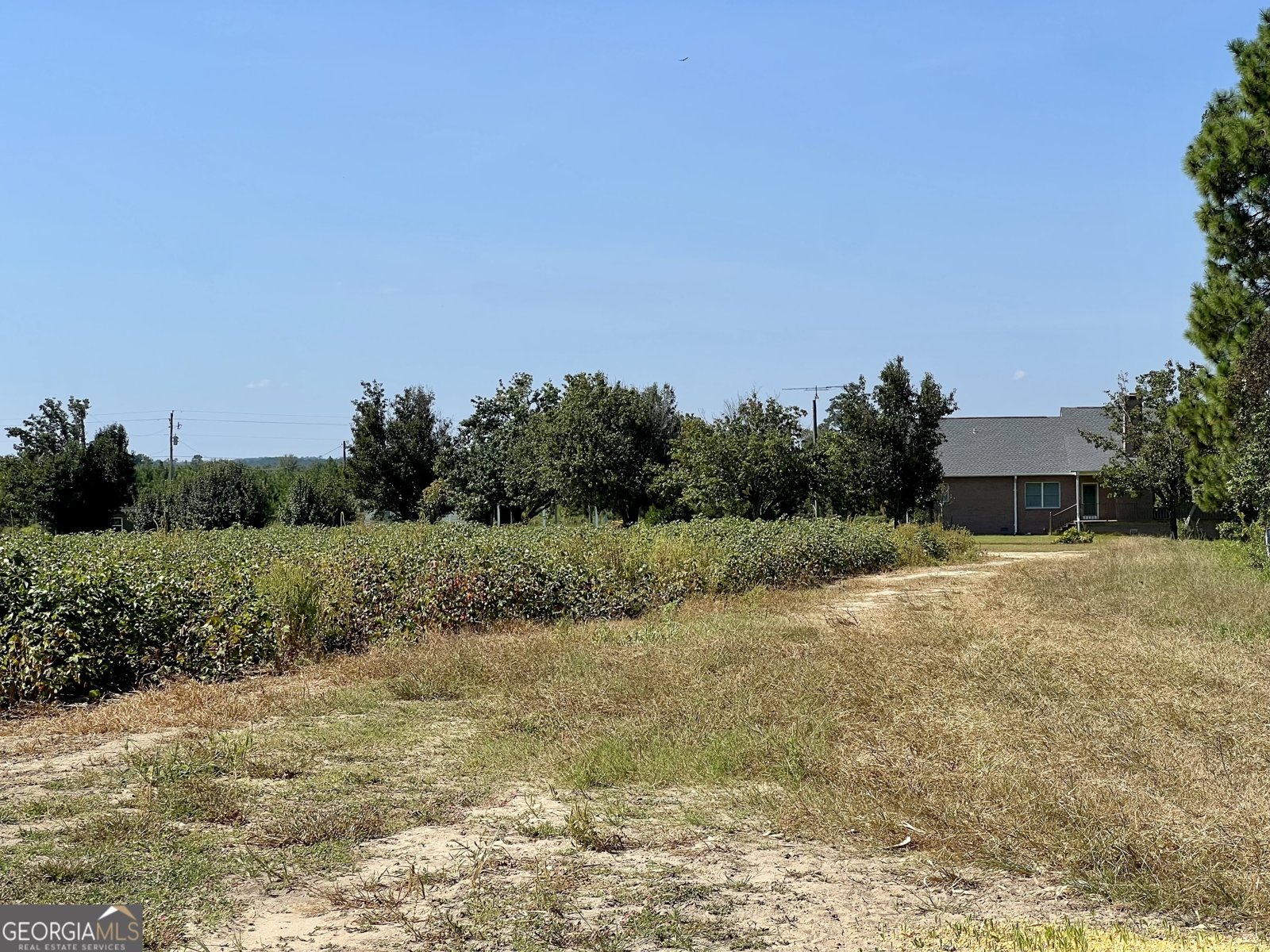 762 Nicholson Carr Road Chester - 67