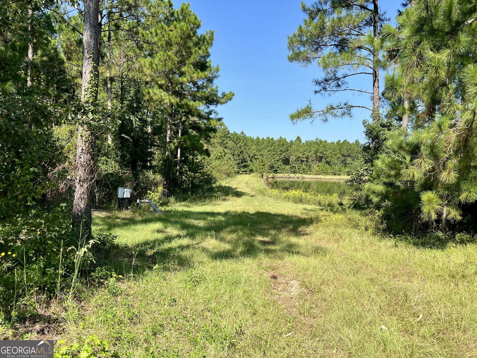 762 Nicholson Carr Road Chester - 68