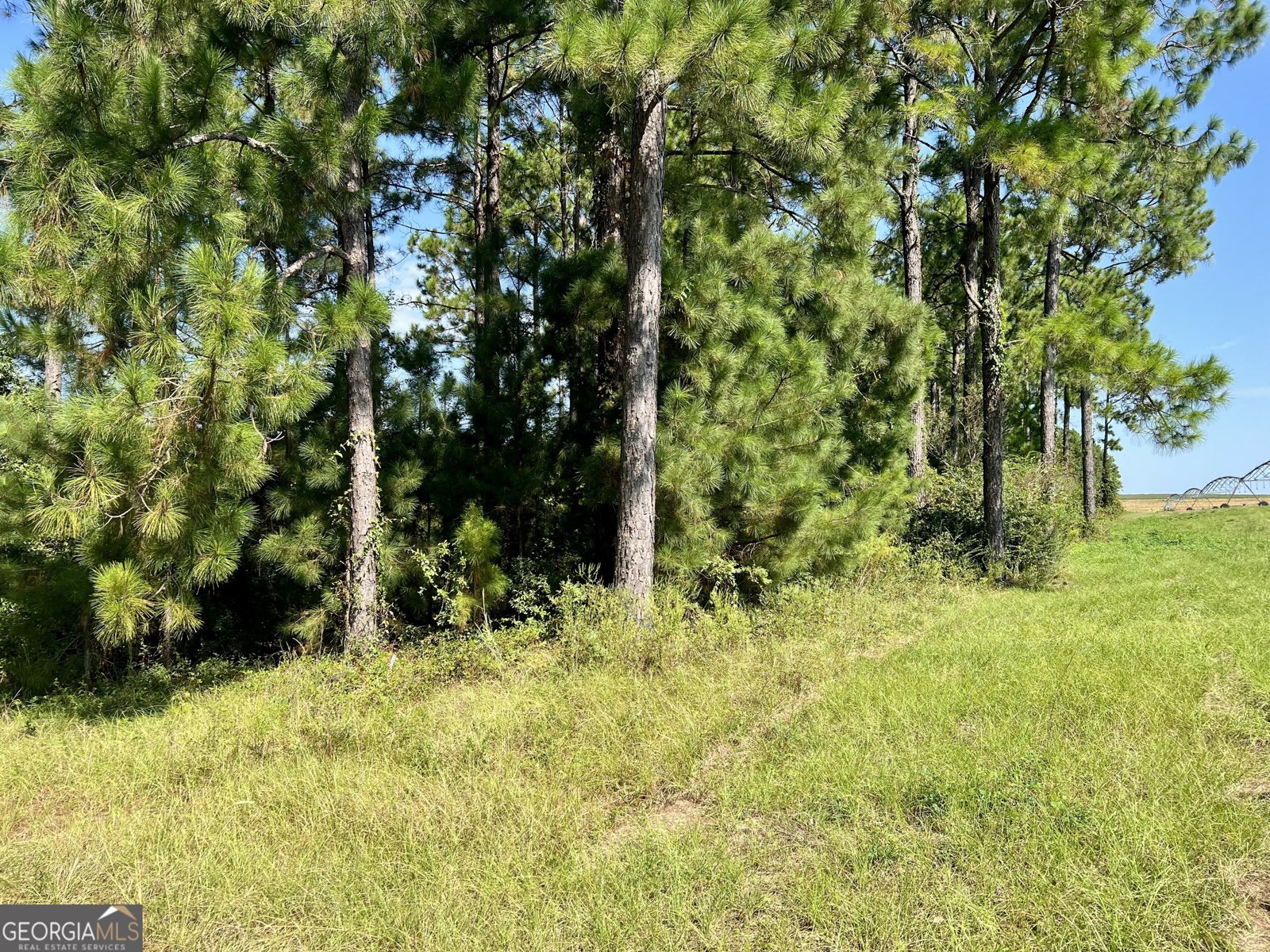 762 Nicholson Carr Road Chester - 70