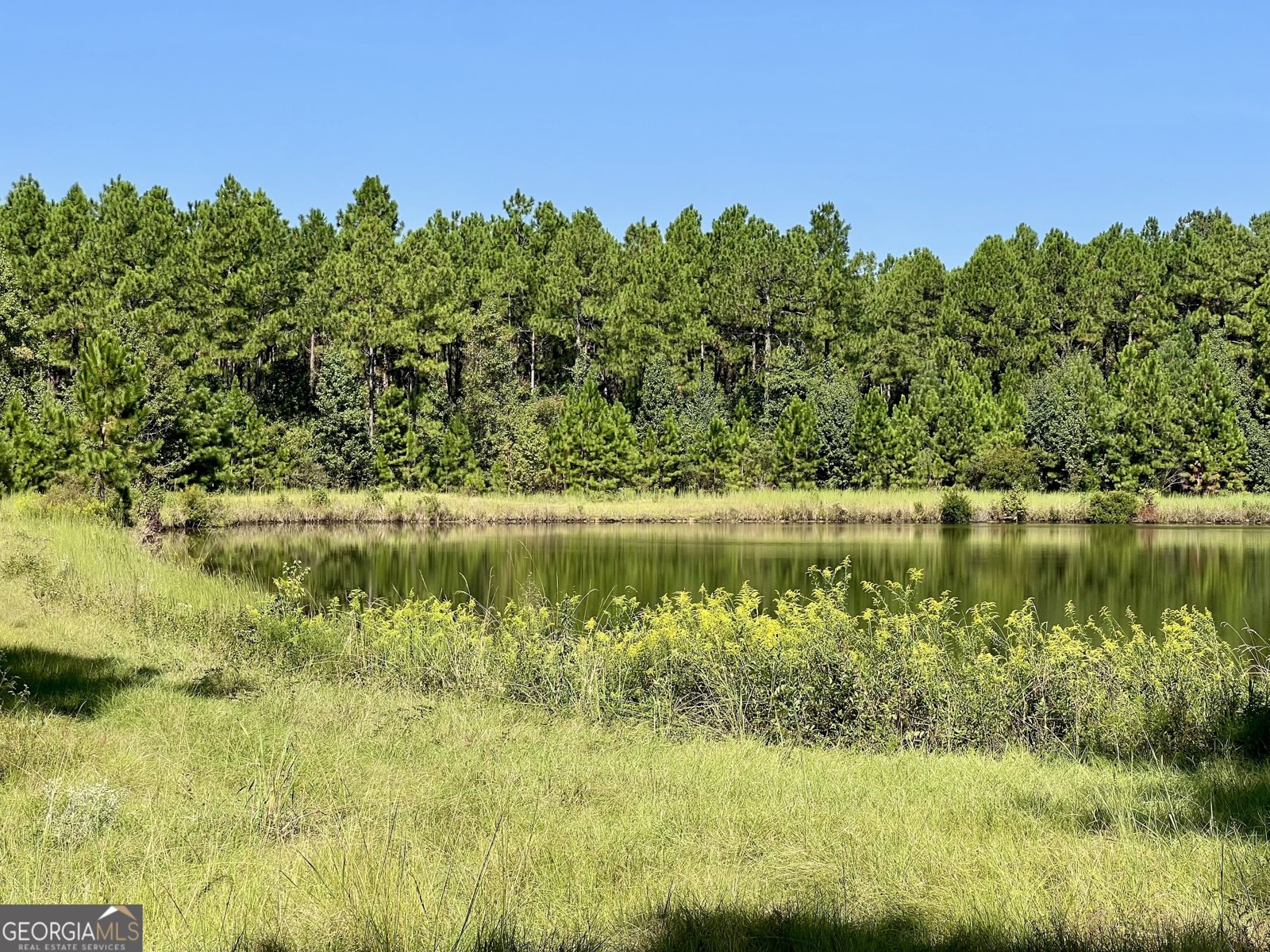 762 Nicholson Carr Road Chester - 71