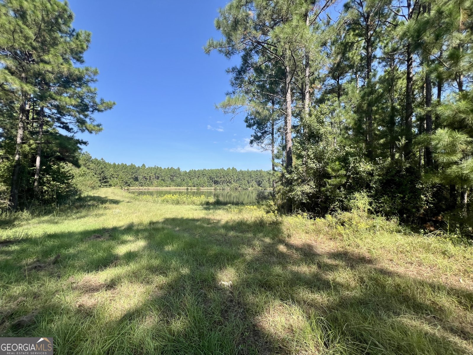 762 Nicholson Carr Road Chester - 72