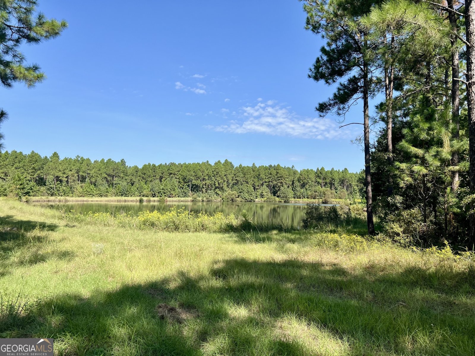 762 Nicholson Carr Road Chester - 73