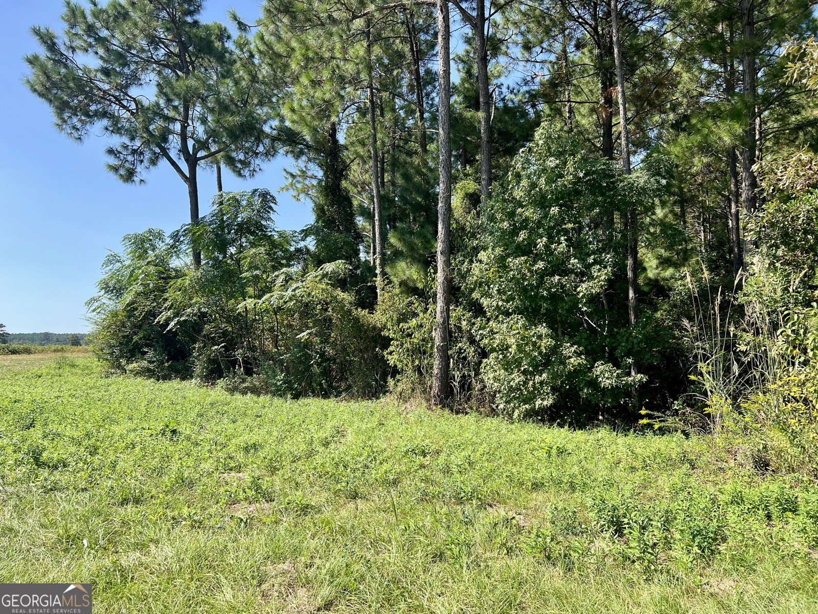 762 Nicholson Carr Road Chester - 77