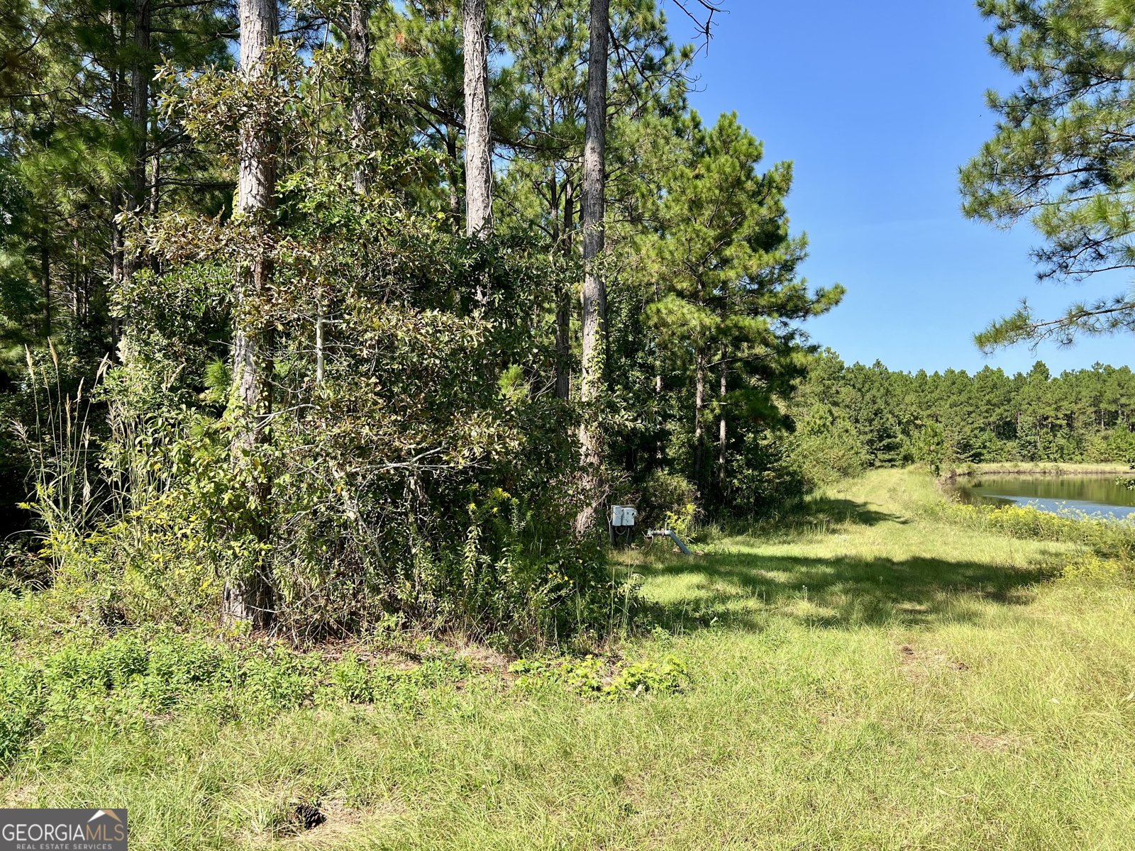 762 Nicholson Carr Road Chester - 78