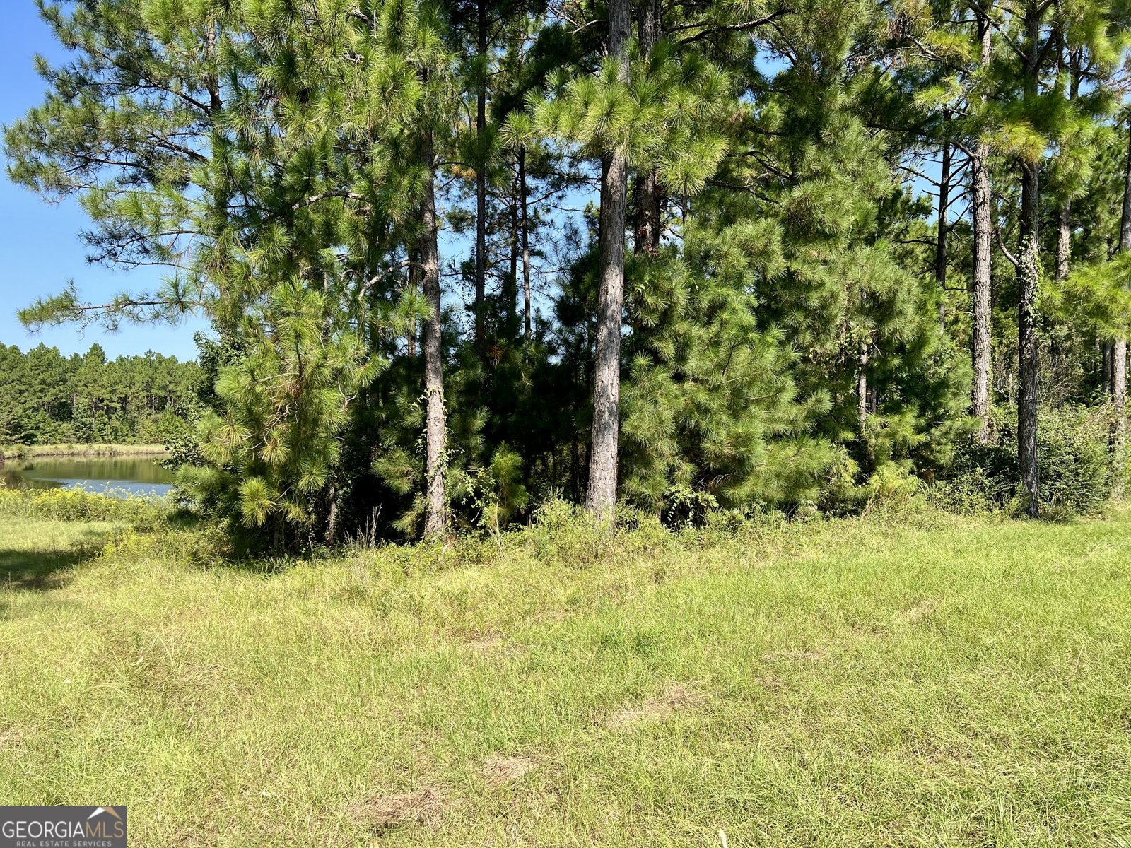 762 Nicholson Carr Road Chester - 79