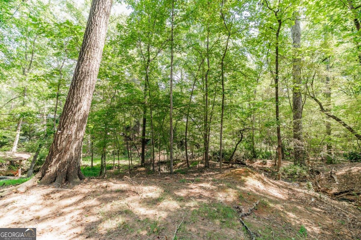 283 Lake Vista Way Athens - 53