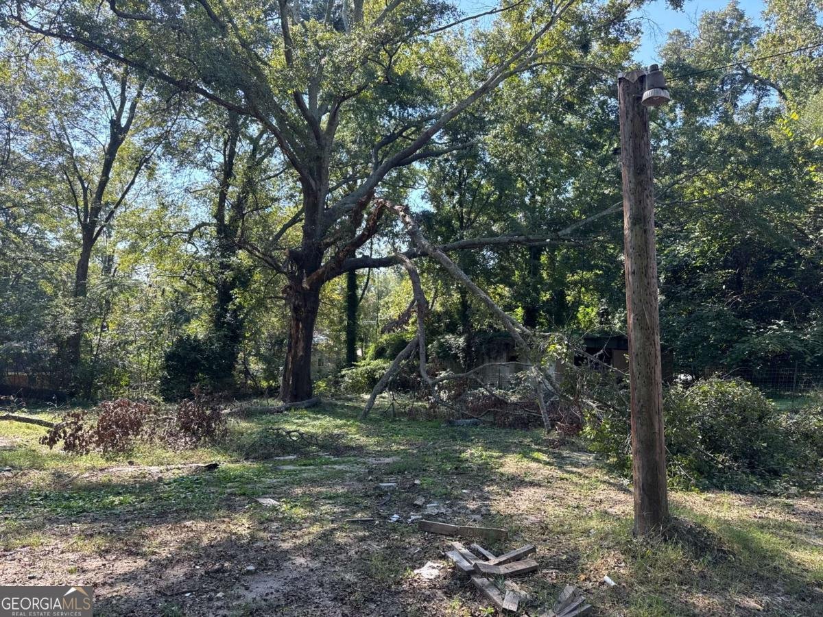 3008 Grand Avenue Atlanta - 4