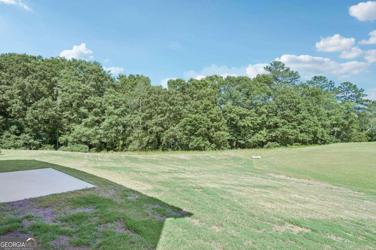 624 Silverleaf Trail Bethlehem - 20