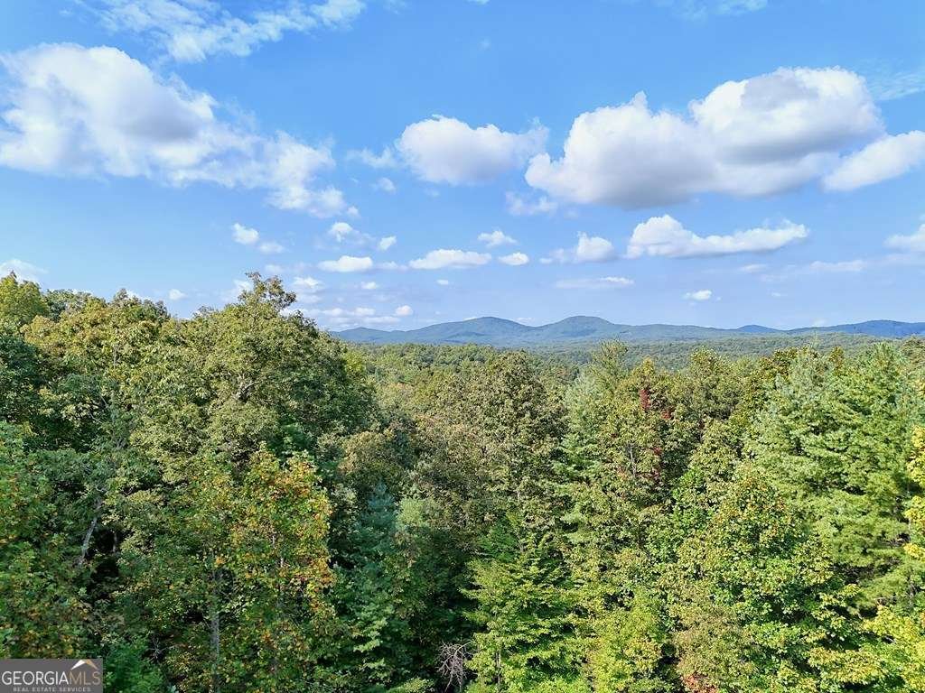 106 Lost Trail Blairsville - 42