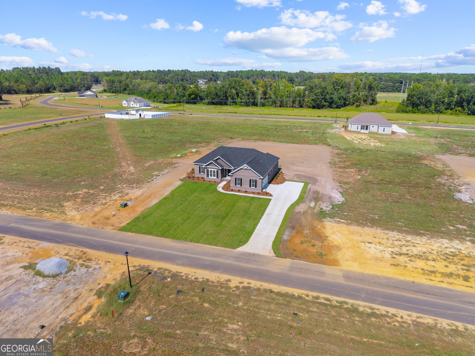 207 Bald Cypress Court Statesboro - 30