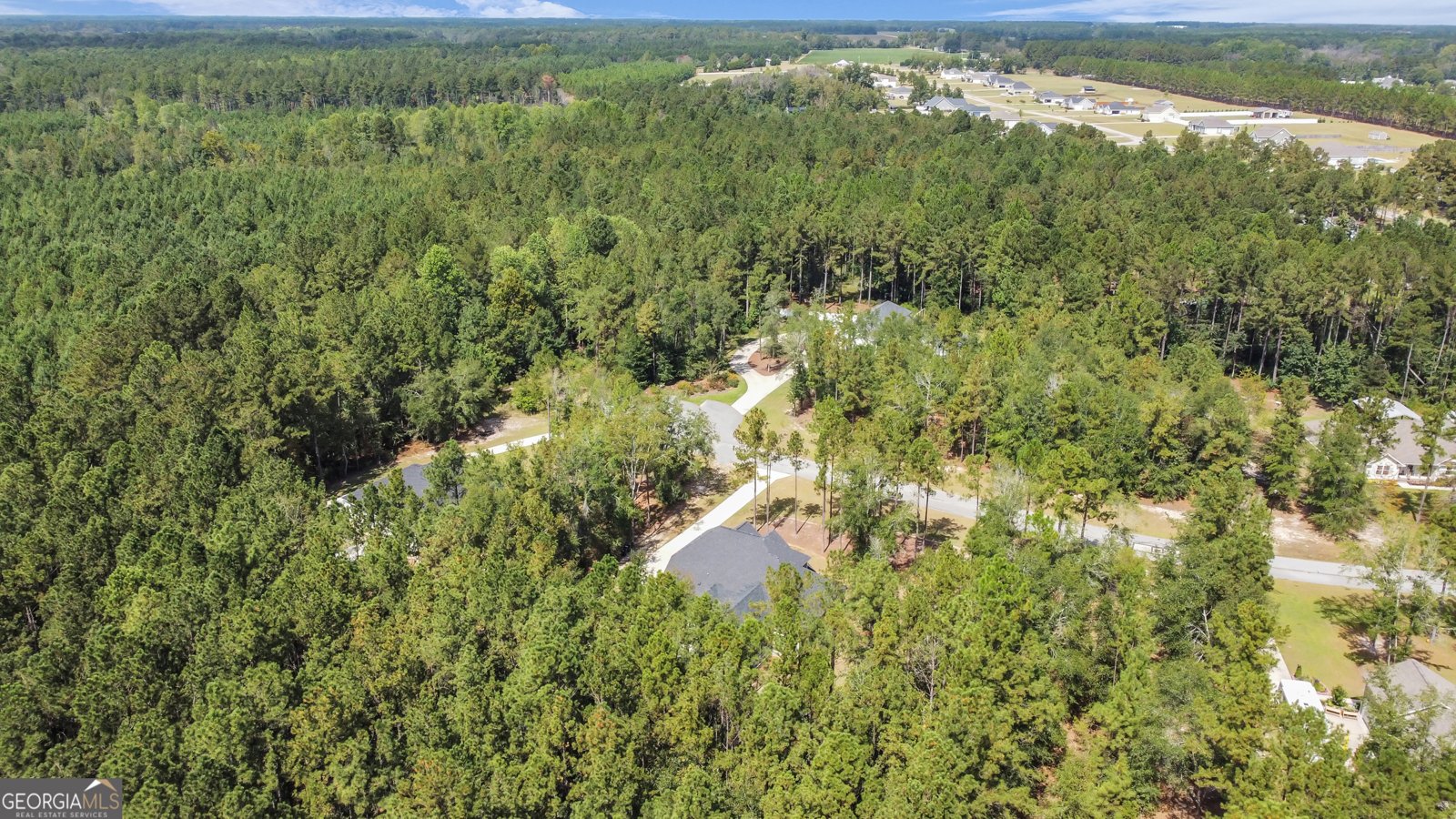 149 Windmill Plantation Drive Statesboro - 3