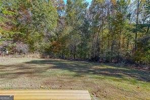 6179 Saddlehorse Drive Flowery Branch - 24