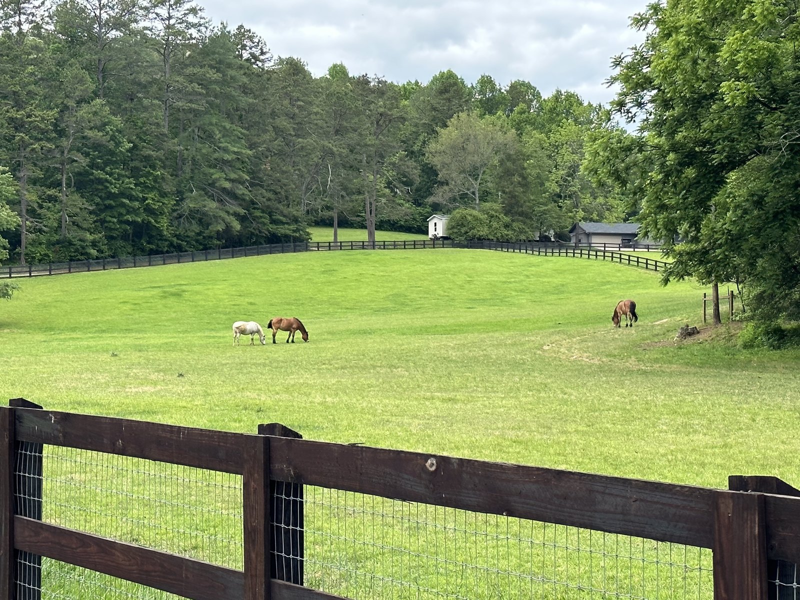 3622 Sandy Ford Road Clayton - 64
