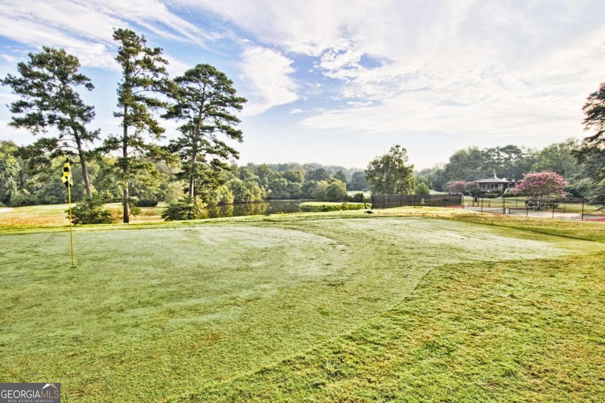 248 Triumph Drive Atlanta - 29