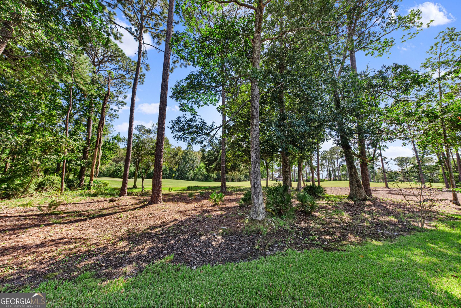 221 Osprey Circle St. Marys - 41
