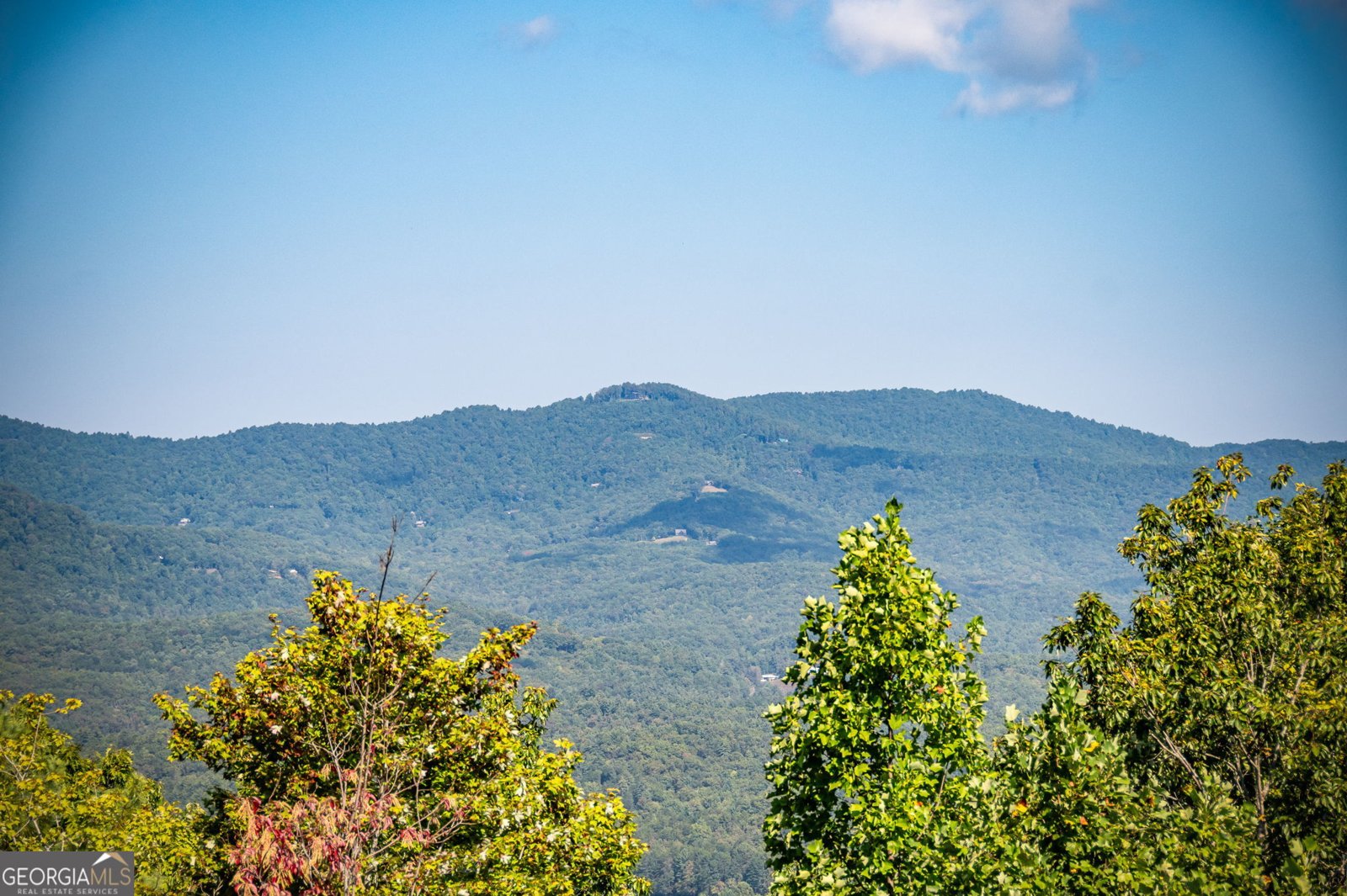 1150 Mountain High Drive Mineral Bluff - 50