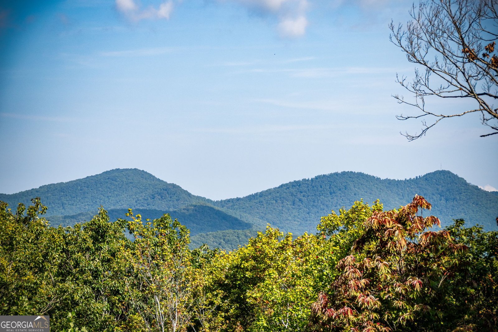 1150 Mountain High Drive Mineral Bluff - 76