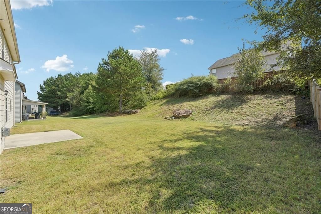2436 Planters Mill Way Conyers - 21